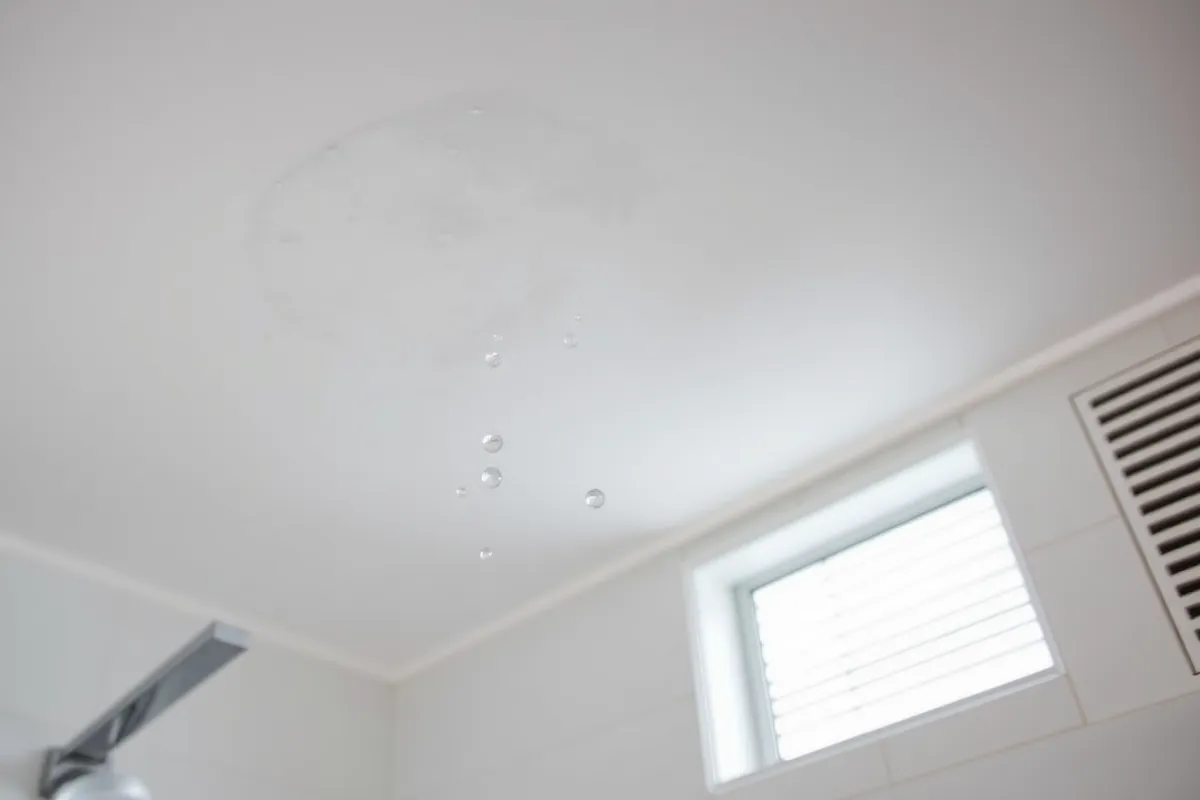 moisissure plafond salle de bain malgré vmc